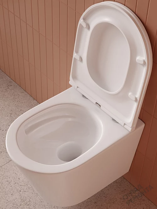 Фото Унитаз подвесной Iddis Calipso Q CAQRDSEi25 безободковый купить в Кургане: цена, описание, фото. Интернет-магазин 1