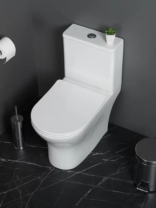 Фото Унитаз моноблок BelBagno Lounge BB8618CPR-MN/SC безободковый купить в Кургане: цена, описание, фото. Интернет-магазин 1